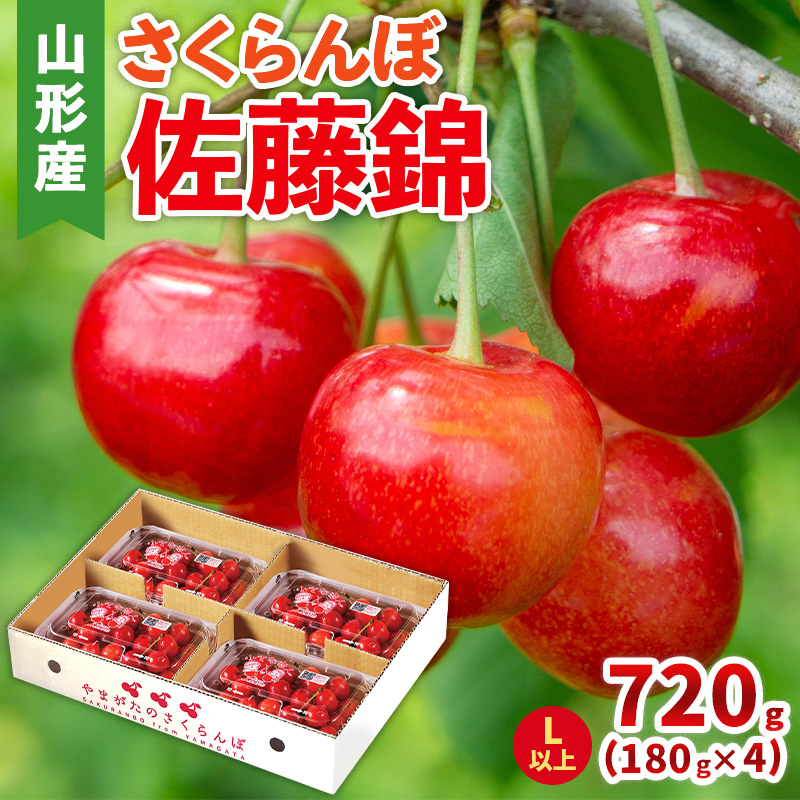 さくらんぼ(佐藤錦) Lサイズ 720g(180g×4パック) 【令和8年産先