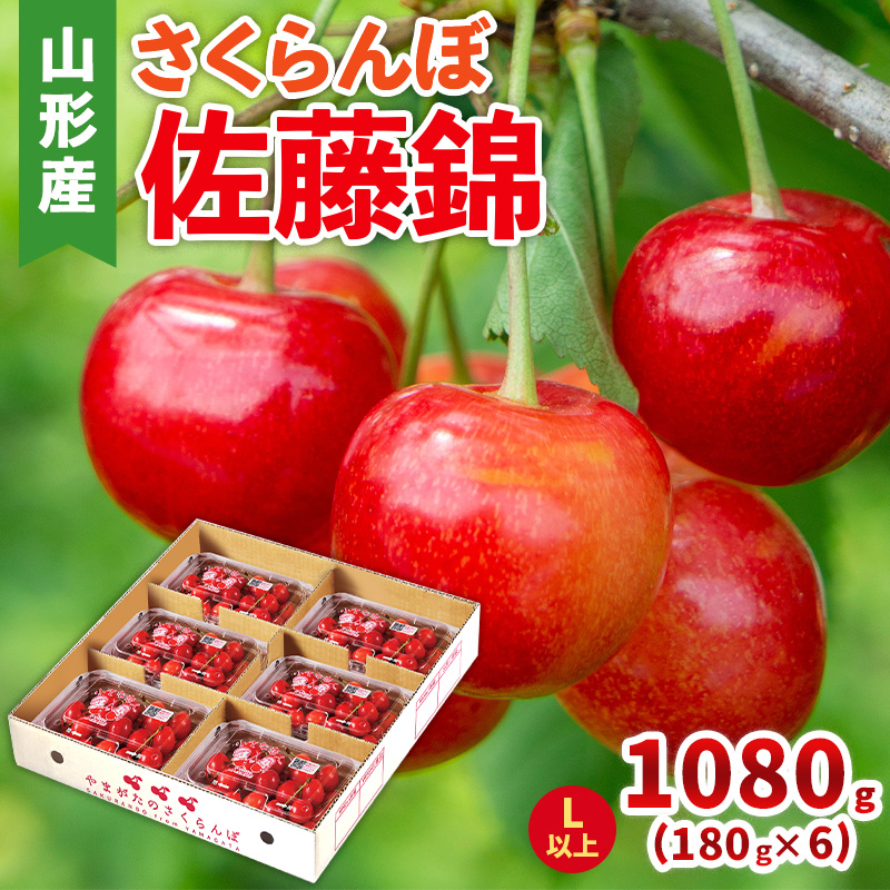 さくらんぼ(佐藤錦) Lサイズ 1080g(180g×6パック)【令和8年産先