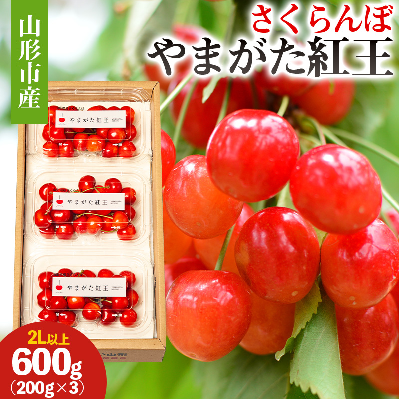 山形市産 さくらんぼ(やまがた紅王)2L以上 600g(200g×3) 【令和