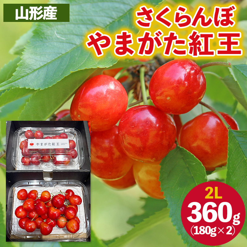 さくらんぼ ”やまがた紅王” 2Lサイズ 360g(180g×2パック入り