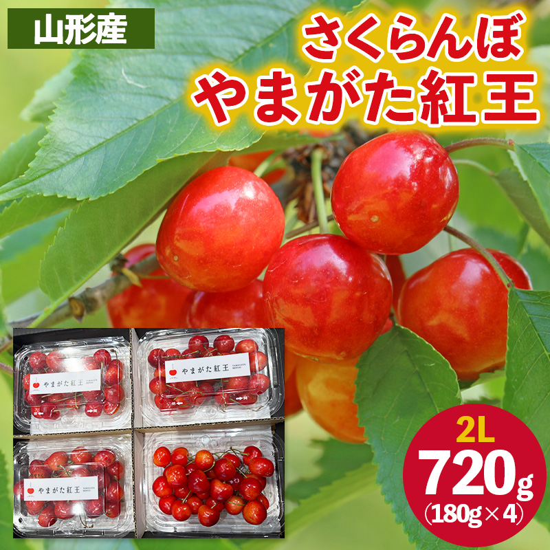 さくらんぼ ”やまがた紅王” 2Lサイズ 720g(180g×4パック) 【