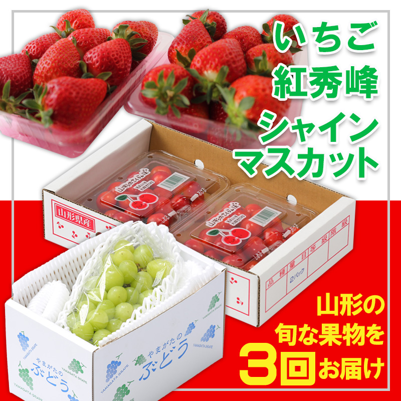 【定期便3回】☆フルーツ王国山形☆『いちご、紅秀峰、シ