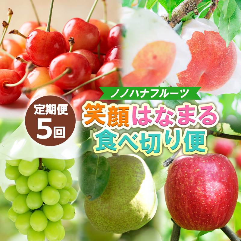 【定期便5回】ノノハナフルーツ 笑顔はなまる食べ切り便  F