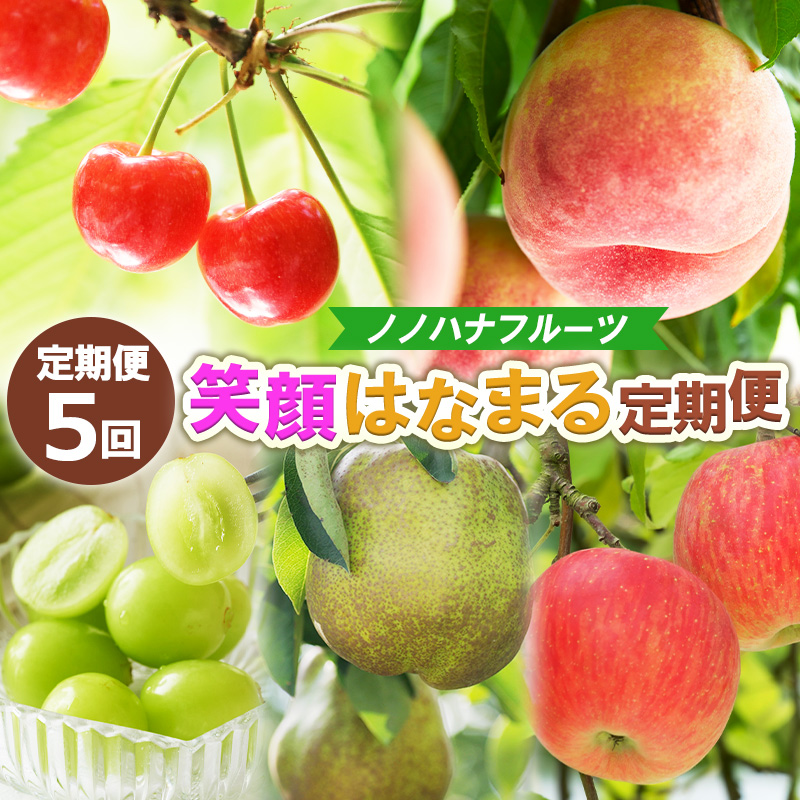 【定期便5回】ノノハナフルーツ 笑顔はなまる定期便 FY25-329