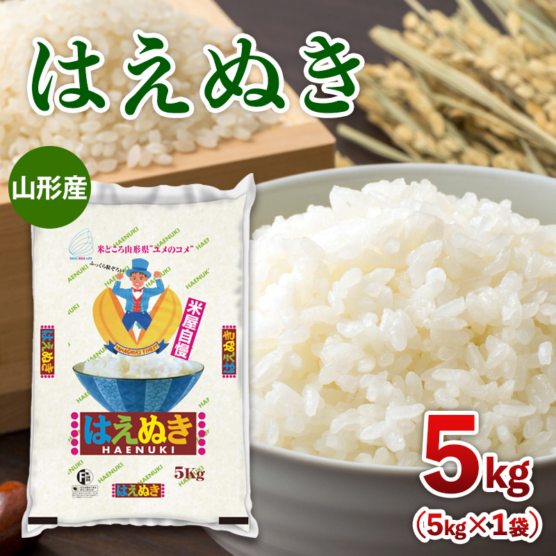 令和7年産 山形産 はえぬき 5kg FY25-350