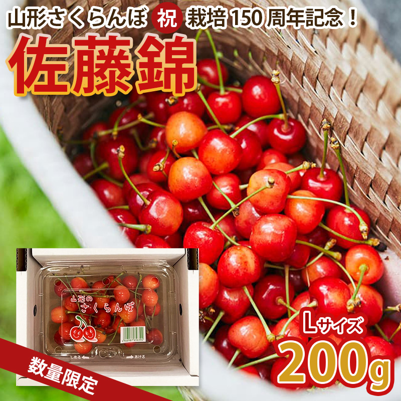 山形さくらんぼ (祝)栽培150周年記念！佐藤錦 200g L玉 数量限