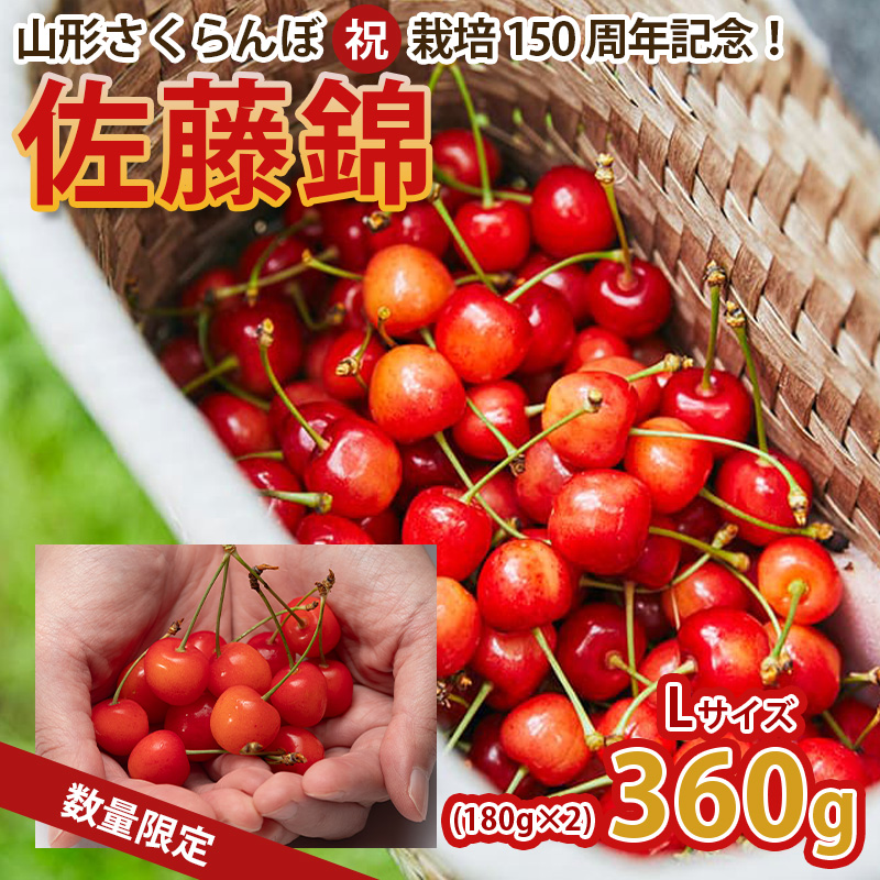 山形さくらんぼ (祝)栽培150周年記念！佐藤錦 360g（180g×2パ