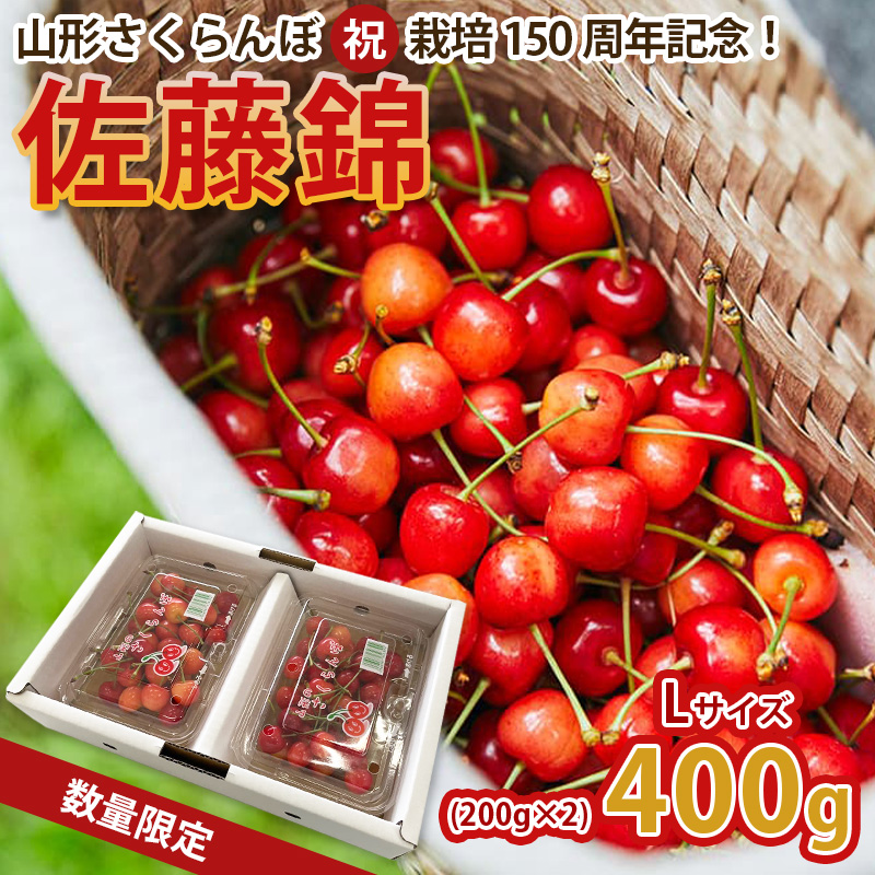 山形さくらんぼ (祝)栽培150周年記念！佐藤錦 400g(200g×2パッ