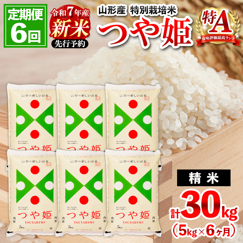 【2月発送開始】【定期便6回】 先行予約 令和7年産 新米 山