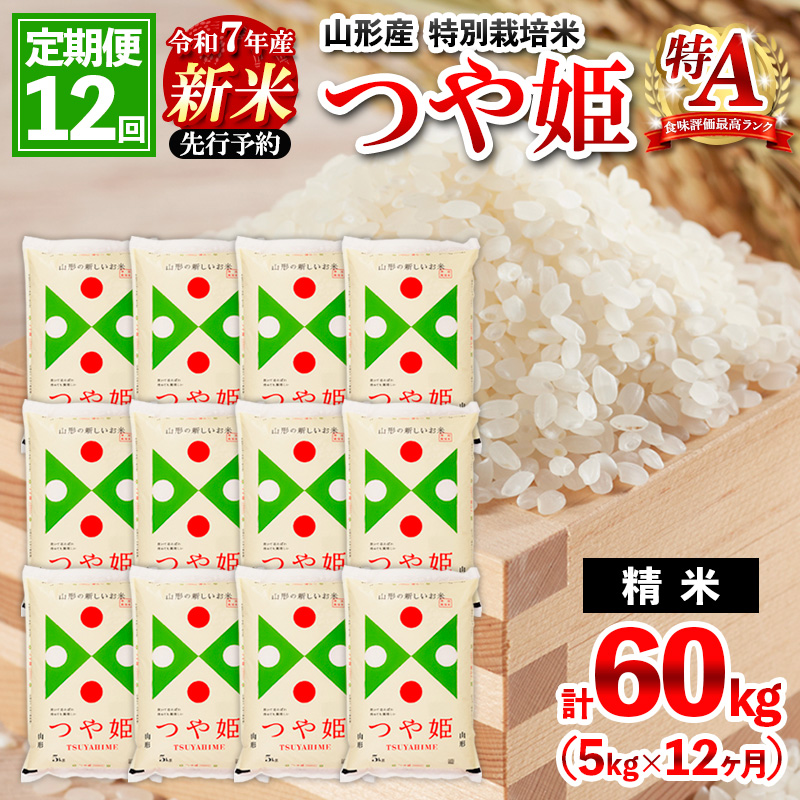 【1月発送開始】 【定期便12回】 先行予約 令和7年産 新米 