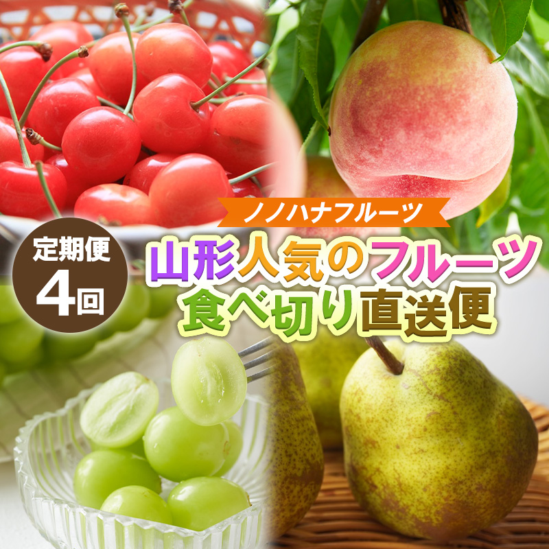 【定期便4回】ノノハナフルーツ 山形人気のフルーツ 食べ