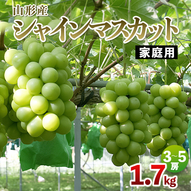 【家庭用】山形産 シャインマスカット 1.7kg(3～5房)【令和8
