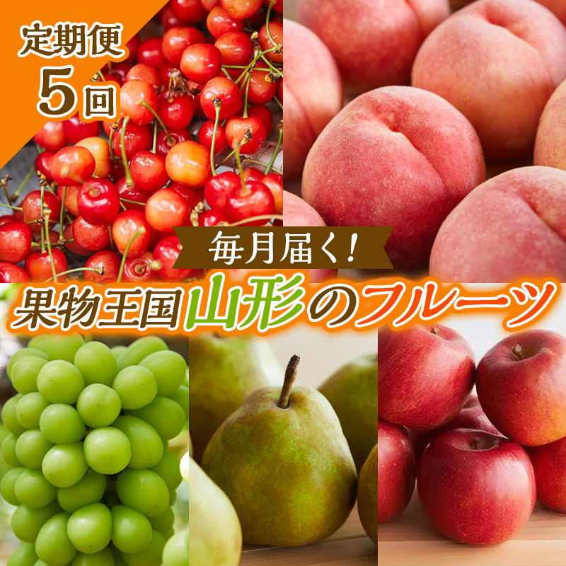 【定期便5回】毎月届く！果物王国山形のフルーツ 【令和8