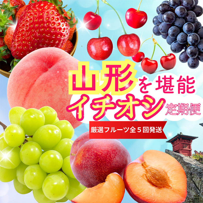 【定期便5回】やまがたを堪能！イチオシ定期便【令和8年産