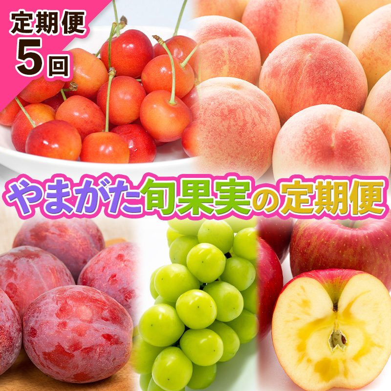 【定期便5回】やまがた旬果実の定期便【令和8年産先行予約
