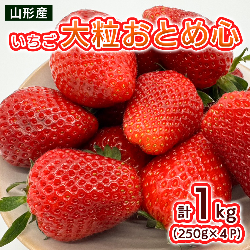 いちご 大粒おとめ心 1kg(250g×4パック)【令和8年産先行予約