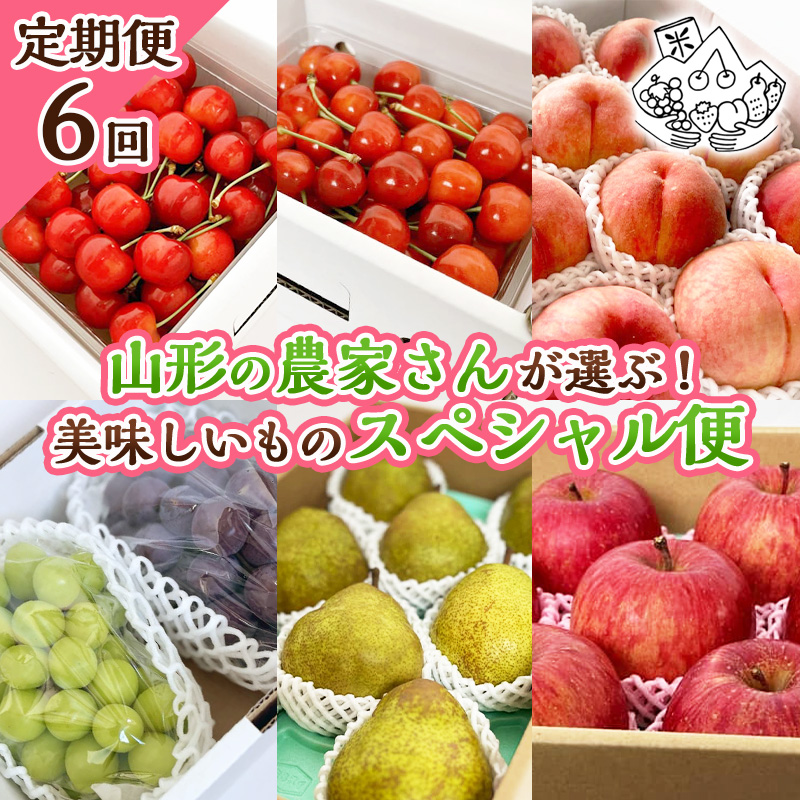 【定期便6回】山形の農家さんが選ぶ！美味しいものスペシ