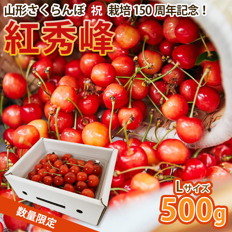 山形さくらんぼ (祝)栽培150周年記念！紅秀峰 500g L玉 数量限