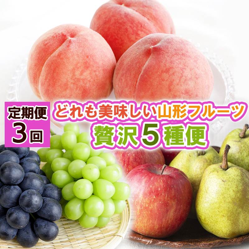 【定期便3回】どれも美味しい 山形フルーツ 贅沢5種便【令