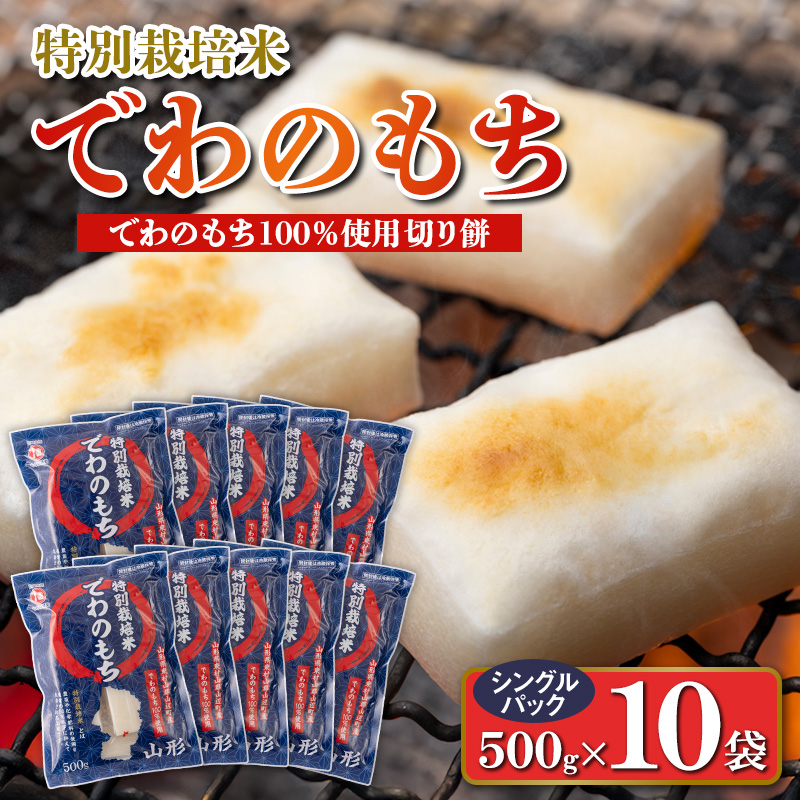 【城北麺工】特別栽培米 でわのもち 500g×10袋 FY25-291