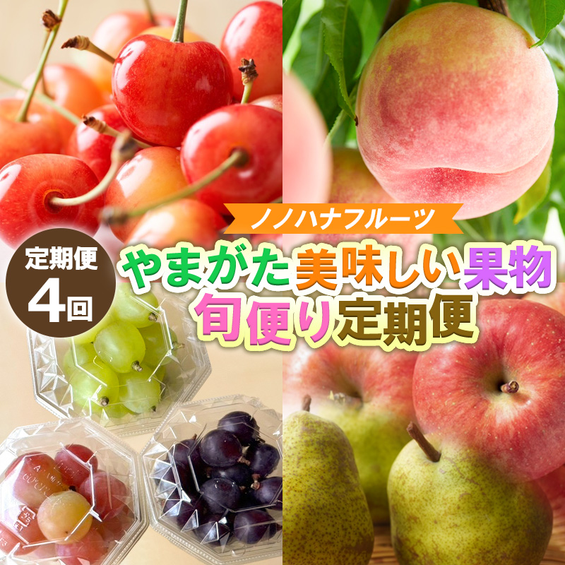 【定期便4回】やまがた美味しい果物 旬便り定期便【令和8