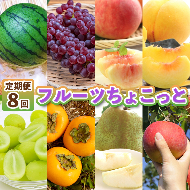 【定期便8回】フルーツちょこっと【令和8年産先行予約】FS2