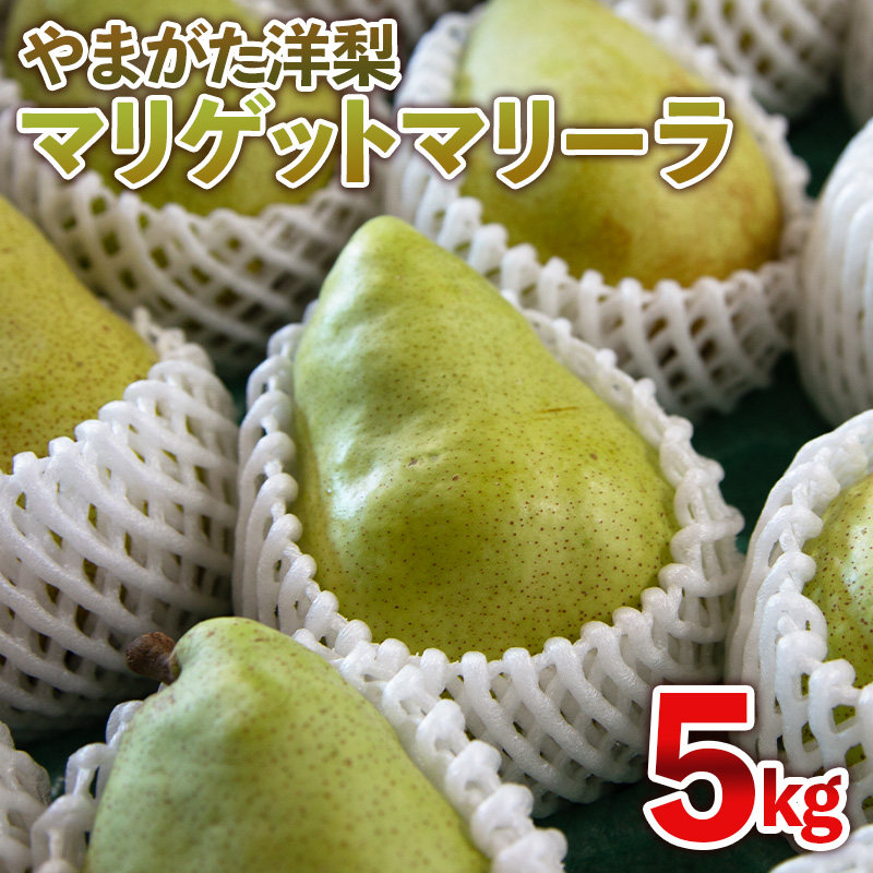 やまがた洋梨 マリゲットマリーラ 5kg【令和8年産先行予約