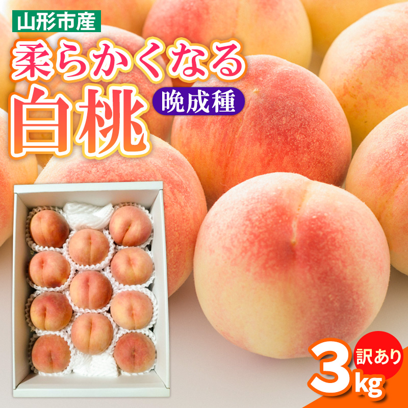 【訳あり】柔らかくなる 白桃 優品 晩成種 3kg (7個～14個)【