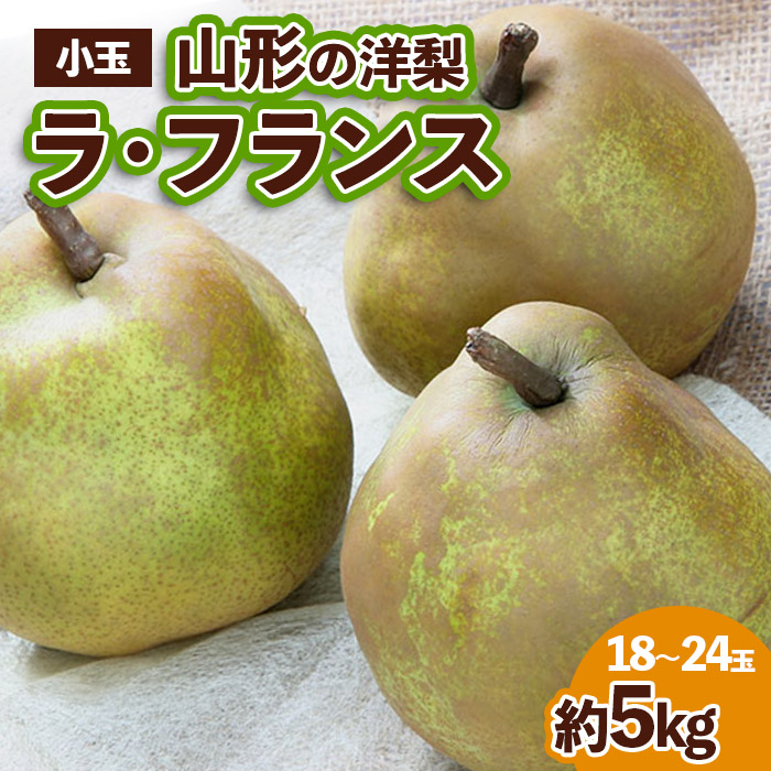 山形の洋梨 ラフランス 優品 約5kg (小玉2L～M/18～24玉)[12月発