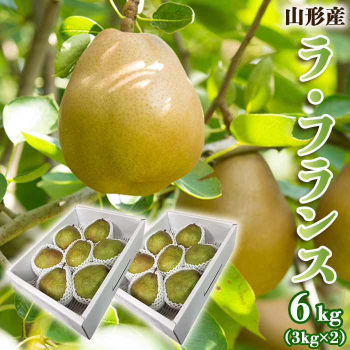 山形のラ・フランス 秀 約6kg(12～18玉・3L～6L)[12月発送]【令