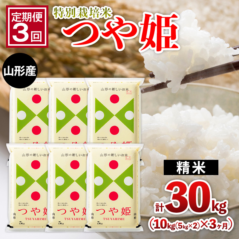 【定期便3回】山形産 特別栽培米 つや姫 10kg(5kg×2)x3ヶ月(計3