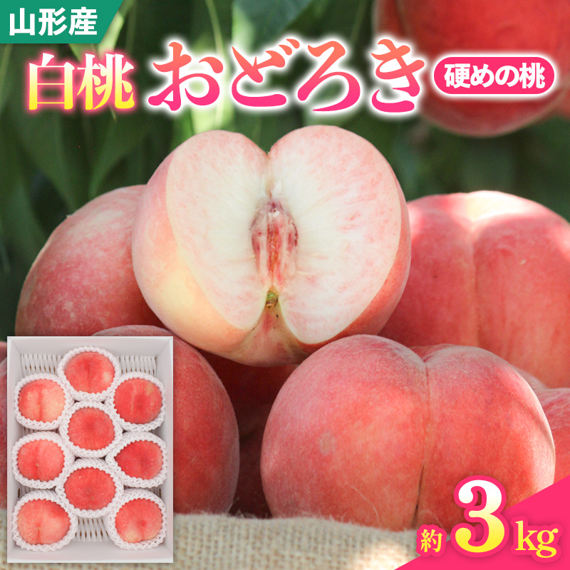山形県産白桃おどろき 約3kg[硬めの桃]【令和8年産先行予約