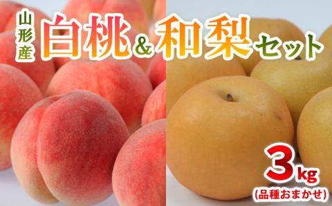 山形産白桃&和梨セット 秀品 3kg(品種おまかせ) [令和6年産先行予約]FS23-867