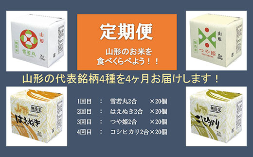 [4ヶ月連続定期便]無洗米キューブ米 4種(300g×各20個)×4回 FY20-384