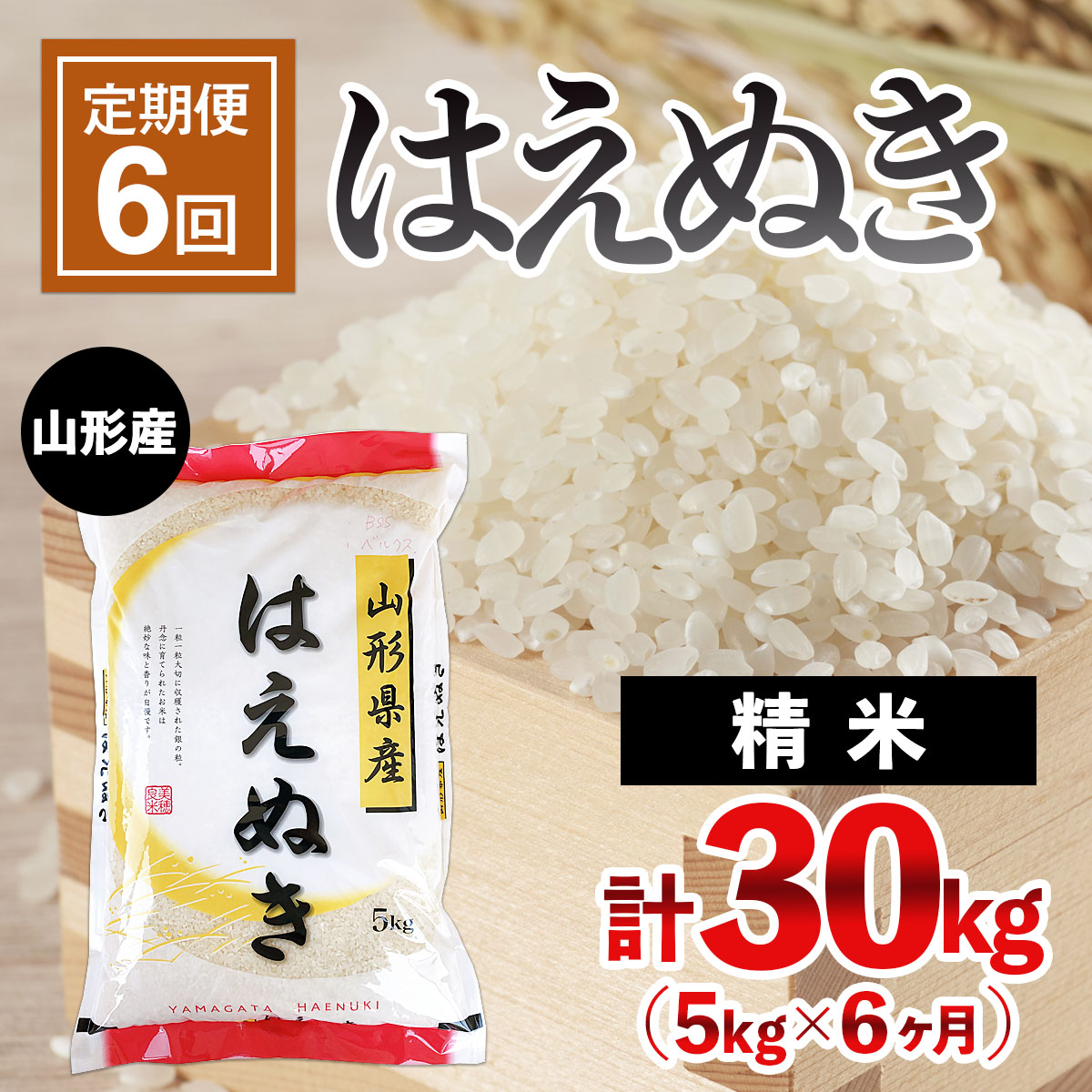 [定期便6回]山形産 はえぬき 5kg×6ヶ月(計30kg) FY24-473