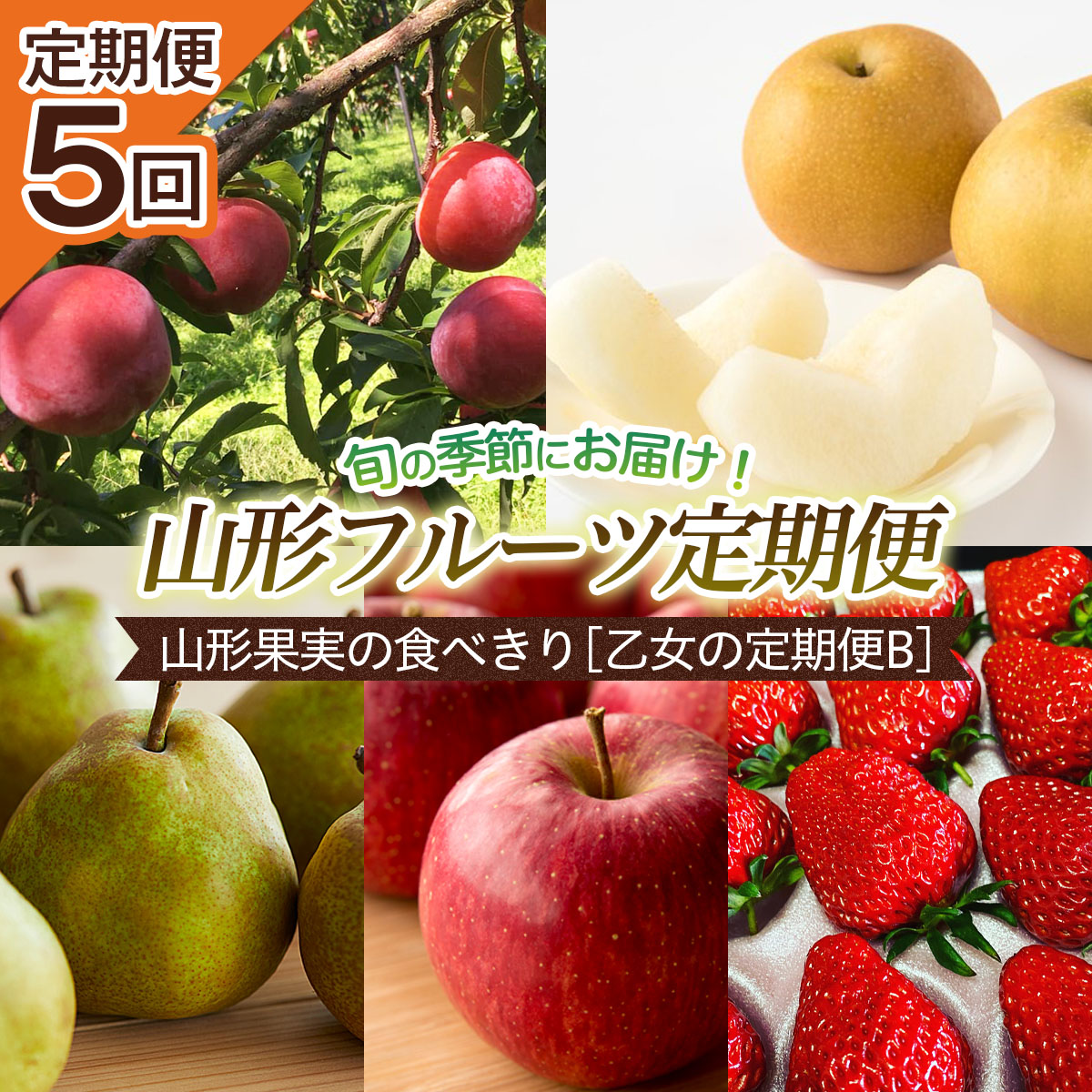 【定期便5回】山形果実の食べきり[乙女の定期便B] 【令和8