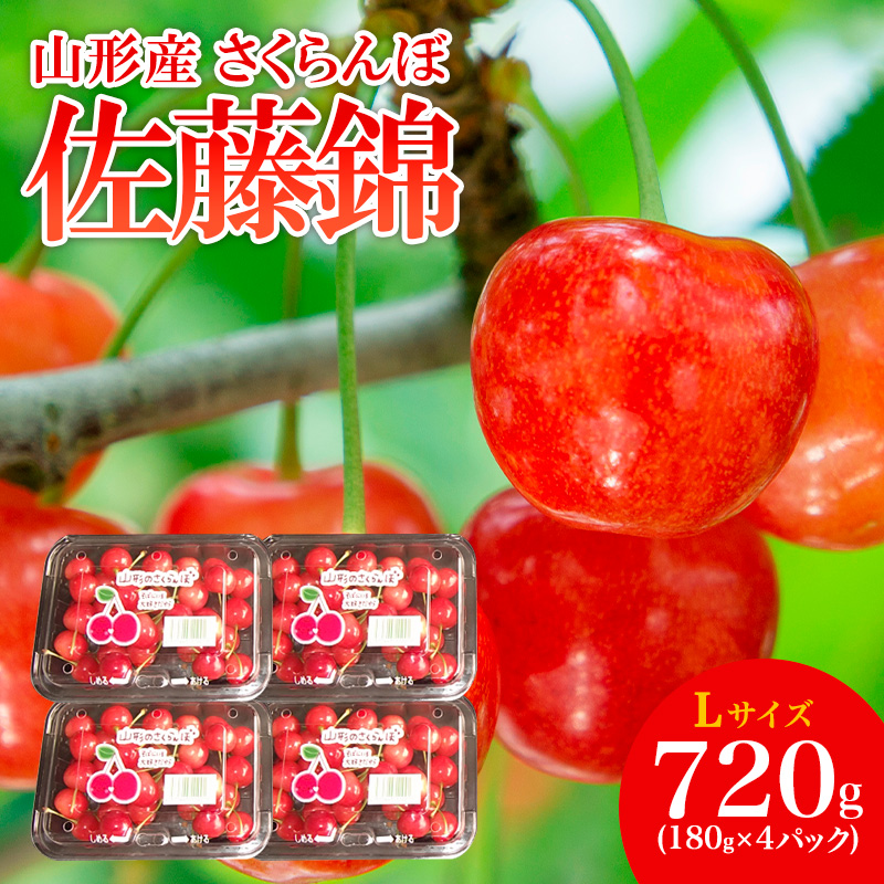 山形産 さくらんぼ 佐藤錦 L 720g(180g×4パック) 【令和8年産先