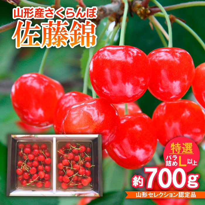 さくらんぼ 佐藤錦 特選バラ詰め L以上 約700g山形セレクシ