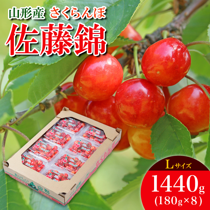 さくらんぼ 佐藤錦 L 1440g(180g×8) 【令和8年産先行予約】FS25-5