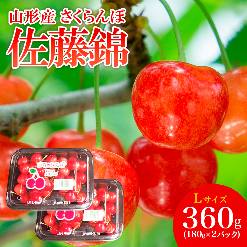 山形産 さくらんぼ 特選 佐藤錦 L 360g(180g×2パック入) 【令和