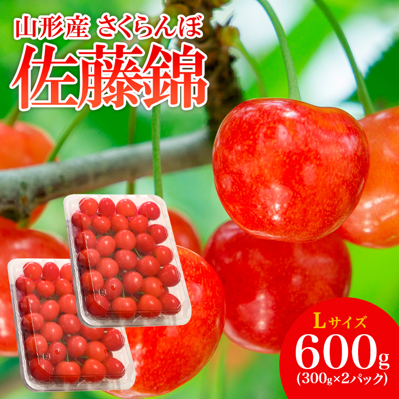山形産 さくらんぼ 佐藤錦 L 600g(300g×2パック入) 【令和8年産