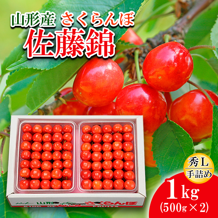 さくらんぼ 佐藤錦 Ｌ(500g×2)手詰 【令和8年産先行予約】FS25