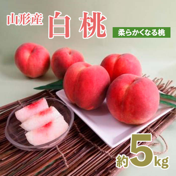 山形産白桃 小玉サイズ 約5kg(18～22玉)[柔らかくなる桃]【令