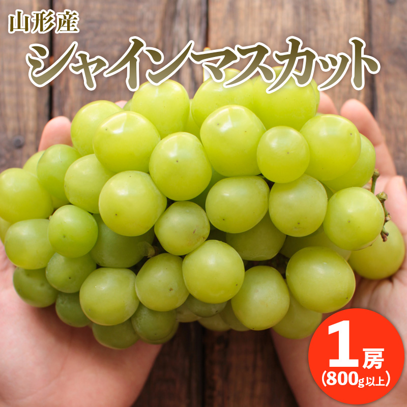 ぷりぷりの大房シャインマスカット 1房(800g以上) 【令和8年
