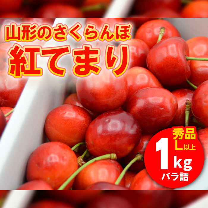 山形のさくらんぼ 紅てまり 1kg Lサイズ以上 バラ詰 【令和8