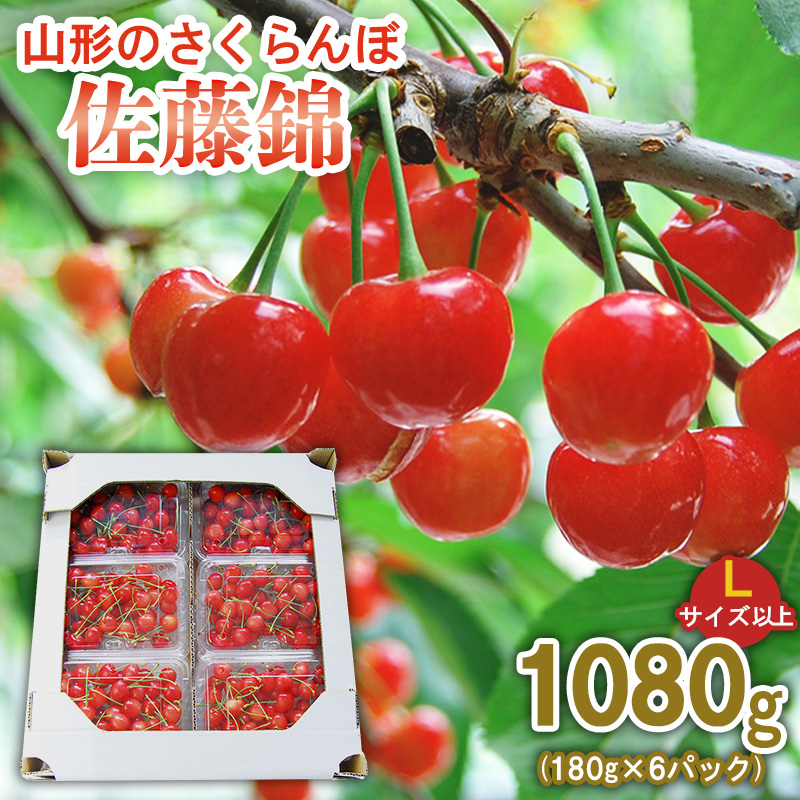 山形のさくらんぼ 佐藤錦 1080g (180g×6パック) Lサイズ以上 【