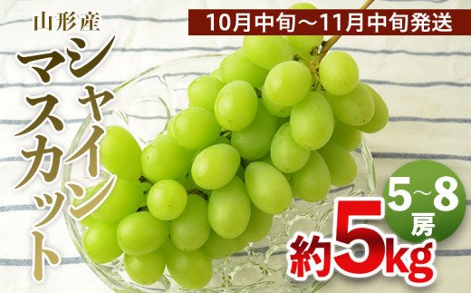 山形の大粒シャインマスカット 秀品 約5kg(5〜8房)[10中旬〜11月中旬発送] [令和6年産先行予約]FS21-636