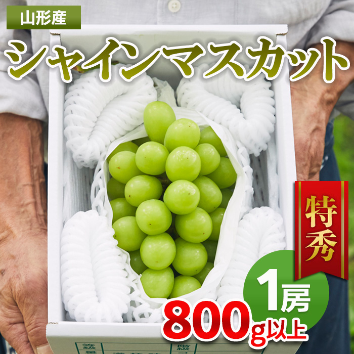 山形市産 シャインマスカット 特秀 1房 800g以上 FZ22-402 [前半]9月下旬〜10月下旬発送