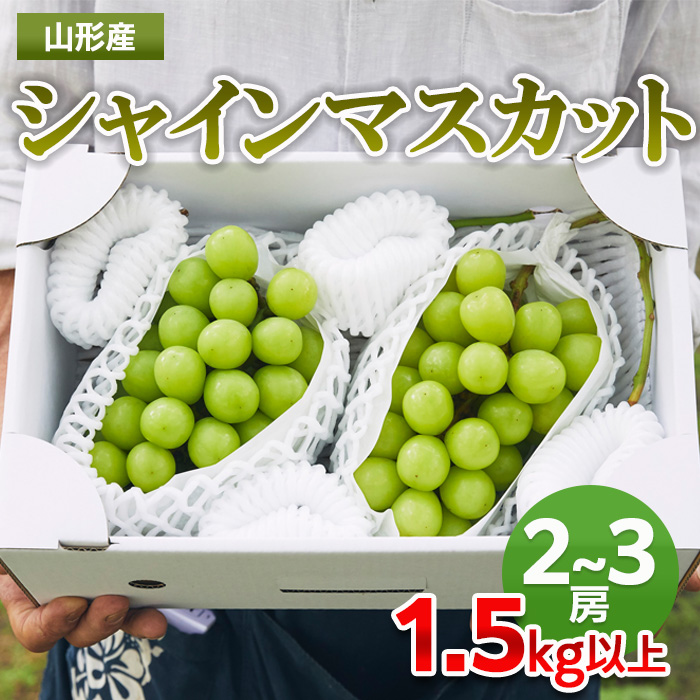 山形市産 シャインマスカット 秀1.5kg以上(2〜3房) FZ22-401 [前半]9月下旬〜10月下旬発送