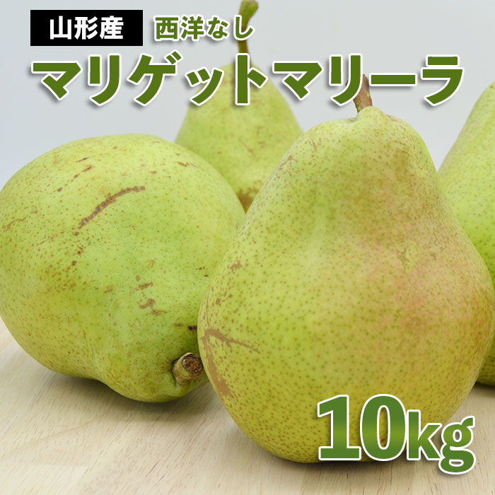 山形市産 西洋なし(マリゲットマリーラ) 秀 10kg(5kg×2) 14玉～